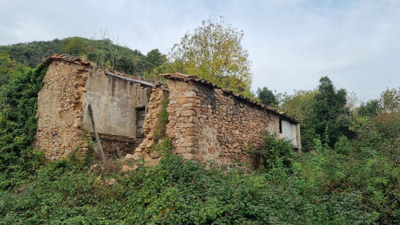 Ca La Pauleta Villa Sant Hilari Sacalm Exterior foto
