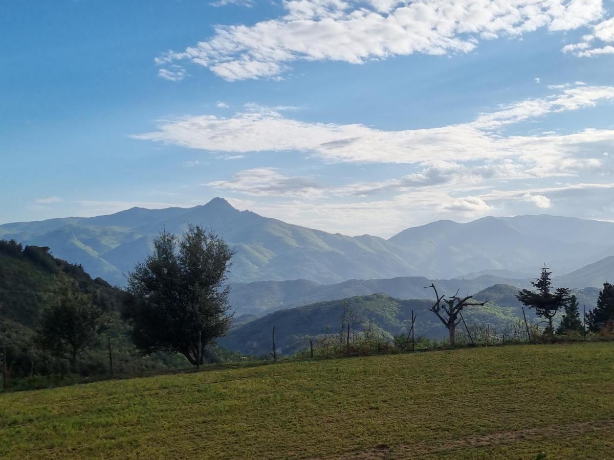 Ca La Pauleta Villa Sant Hilari Sacalm Exterior foto